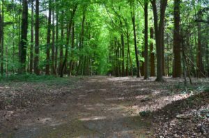 Le parc du château, accessible pour une ballade