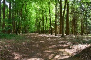 Le parc du château, accessible pour une ballade