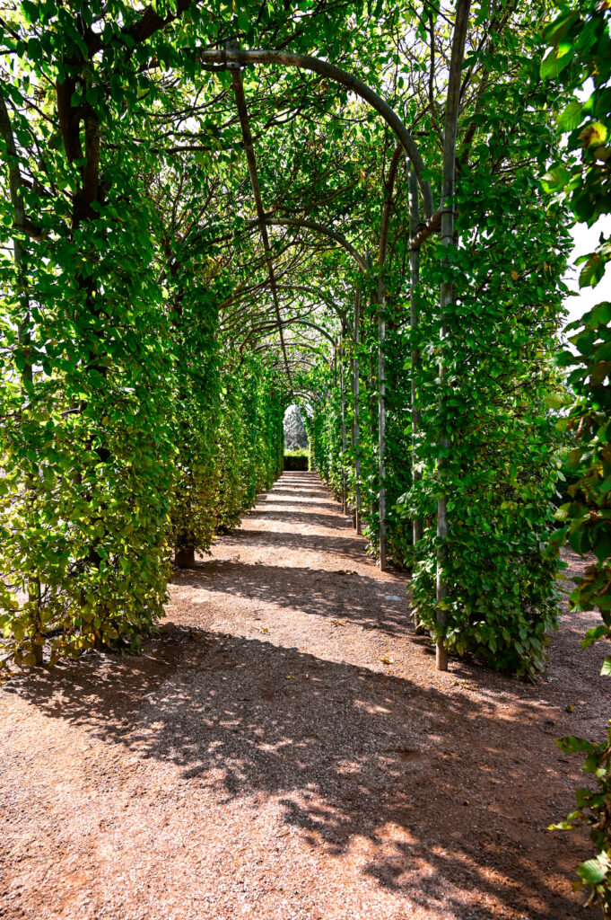 Dans les jardins de l'abbaye