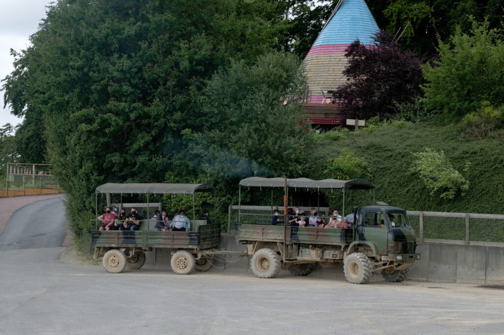 La visite des bisons est réalisée en camion militaire