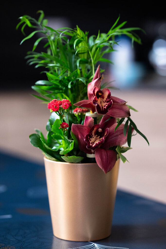 Pot de fleur, éclairage classique