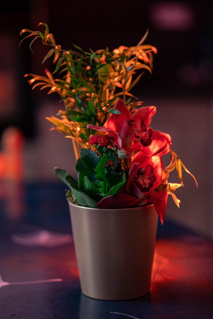 Eclairage rouge en arrière plan, assez proche du pot de fleurs